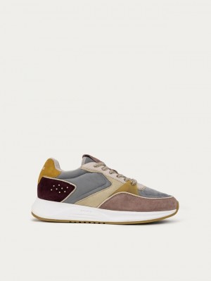 Zapatillas Hoff Surry Hills Mujer Multicolor | CETB-89056